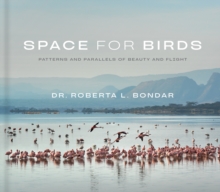 Space for Birds : Patterns and Parallels of Beauty and Flight