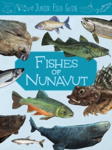 Junior Field Guide: Fishes of Nunavut : English Edition