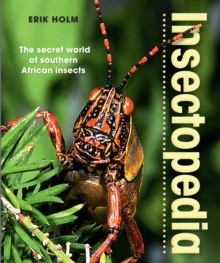 Insectopedia - The secret world of southern African insects