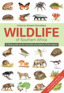 The Wildlife of Southern Africa