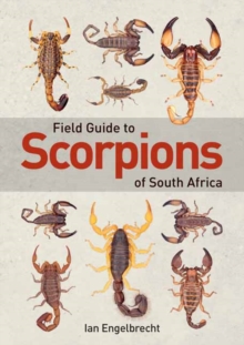 Field Guide to Scorpions of South Africa