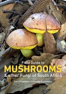Mushrooms and Other Fungi in South Africa, Paperback / softback Book Mushrooms and Other Fungi in South Africa, Paperback / softback Book