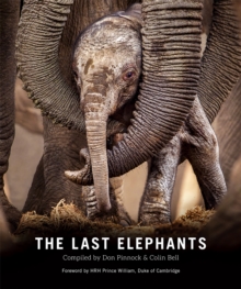 The Last Elephants