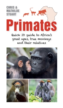 Primates : Quick ID Guide to Africa's great apes, true monkeys and their relatives