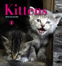 Kittens, Paperback / softback Book Kittens, Paperback / softback Book