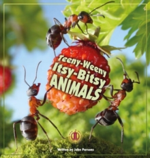 Teeny-Weeny Itsy-Bitsy Animals, Paperback / softback Book Teeny-Weeny Itsy-Bitsy Animals, Paperback / softback Book
