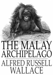 The Malay Archipelago