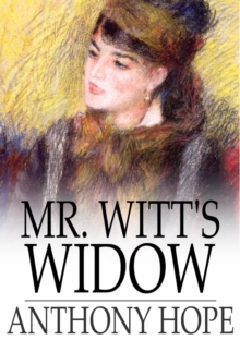 Mr. Witt's Widow : A Frivolous Tale