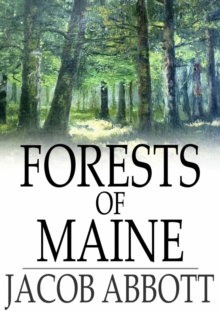 Forests of Maine : Marco Paul's Adventures in Pursuit of Knowledge