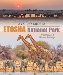 A Visitors Guide to Etosha National Park