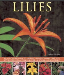 Lilies : An Illustrated Guide to Varieties, Cultivation and Care, with Step-by-step Instructions and Over 150 Stunning Photographs, Paperback / softback Book Lilies : An Illustrated Guide to Varieties, Cultivation and Care, with Step-by-step Instructions and Over 150 Stunning Photographs, Paperback / softback Book