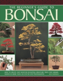 Beginner's guide to Bonsai, Paperback / softback Book Beginner's guide to Bonsai, Paperback / softback Book
