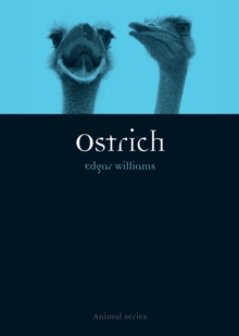 Ostrich, Paperback / softback Book Ostrich, Paperback / softback Book