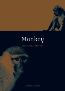 Monkey, Paperback Book Monkey, Paperback Book