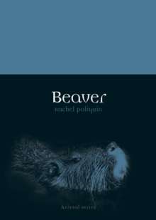 Beaver