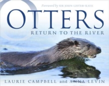 Otters : Return to the River, Paperback Book Otters : Return to the River, Paperback Book