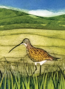 Wild Birds Pocket Notebook: Curlew