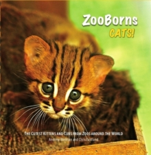 ZooBorns: Cats : The Newest and Cutest Exotic Cats from Zoos around the World!, Hardback Book ZooBorns: Cats : The Newest and Cutest Exotic Cats from Zoos around the World!, Hardback Book