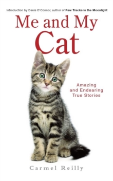 Me and My Cat, Paperback Book Me and My Cat, Paperback Book