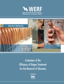 Evaluation of the Efficiency of Biogas Treatment for the Removal of Siloxanes