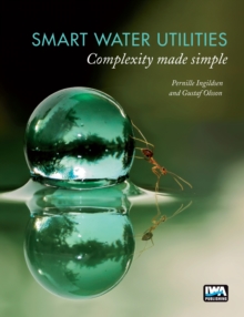 Smart Water Utilities : Complexity Made Simple