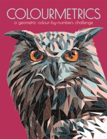 Colourmetrics : A Geometric Colour By Numbers Challenge