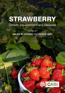 Strawberry : Growth, Development and Diseases, Hardback Book Strawberry : Growth, Development and Diseases, Hardback Book