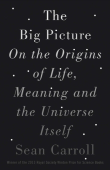 The Big Picture : On the Origins of Life, Meaning, and the Universe Itself