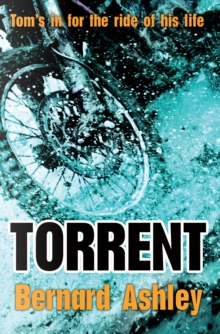 Torrent, Paperback Book Torrent, Paperback Book