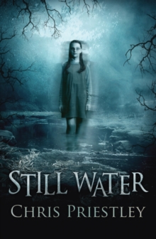Still Water, Paperback / softback Book Still Water, Paperback / softback Book