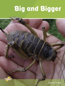 Big and Bigger : Set 1, Paperback / softback Book Big and Bigger : Set 1, Paperback / softback Book