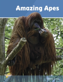 Amazing Apes (ebook) : Set 2