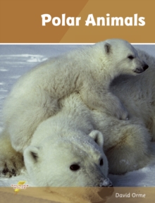 Polar Animals (ebook) : Set 4