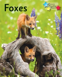 Foxes : Phonics Phase 5