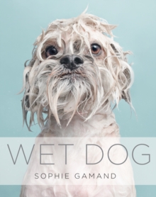 Wet Dog, Hardback Book Wet Dog, Hardback Book