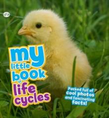 My Little Book of Life Cycles, Other printed item Book My Little Book of Life Cycles, Other printed item Book