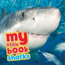 My Little Book of... Sharks, Hardback Book My Little Book of... Sharks, Hardback Book