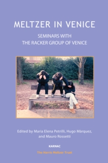 Meltzer in Venice : Seminars with the Racker Group of Venice