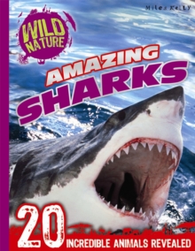 Explore Your World - Amazing Sharks, Paperback Book Explore Your World - Amazing Sharks, Paperback Book