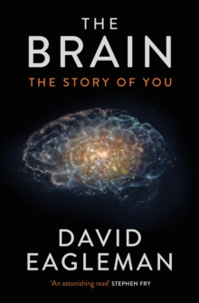 The Brain : The Story of You, Hardback Book The Brain : The Story of You, Hardback Book