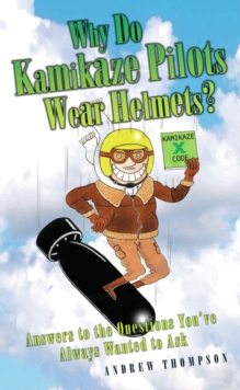 Why Do Kamikaze Pilots Wear Helmets - Answers to the questions you've always wanted to ask