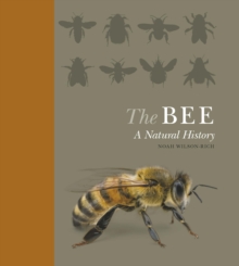 The Bee : A Natural History, Hardback Book The Bee : A Natural History, Hardback Book