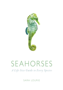 Seahorses : A Life-size Guide to Every Species, Hardback Book Seahorses : A Life-size Guide to Every Species, Hardback Book