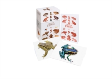 A Box of Frogs : 100 Beautiful Postcards, Postcard book or pack Book A Box of Frogs : 100 Beautiful Postcards, Postcard book or pack Book