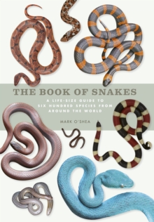 The Book of Snakes : A life-size guide to six hundred species from around the world, Hardback Book The Book of Snakes : A life-size guide to six hundred species from around the world, Hardback Book