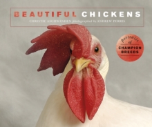 Beautiful Chickens : Portraits of champion breeds