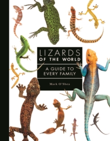 Lizards of the World : A Guide to Every Family