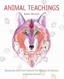 Animal Teachings