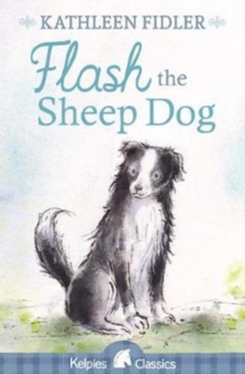 Flash the Sheep Dog