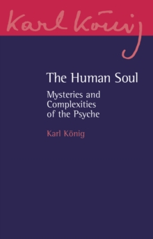 The Human Soul : Mysteries and Complexities of the Psyche
